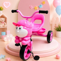 Kids Cartoon Tricycle- BXT- 002